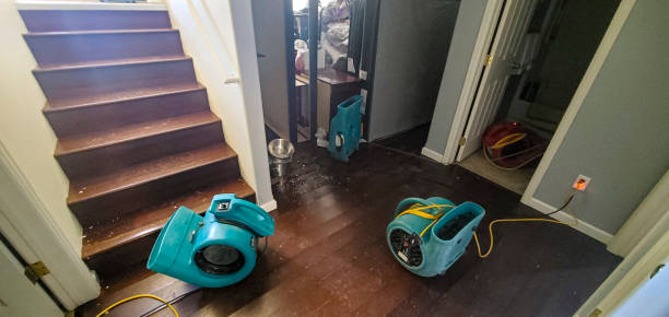 Best Residential water damage restoration  in Hinton, OK