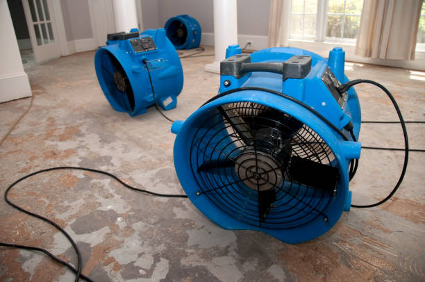 Best Water damage contractors near me  in Hinton, OK